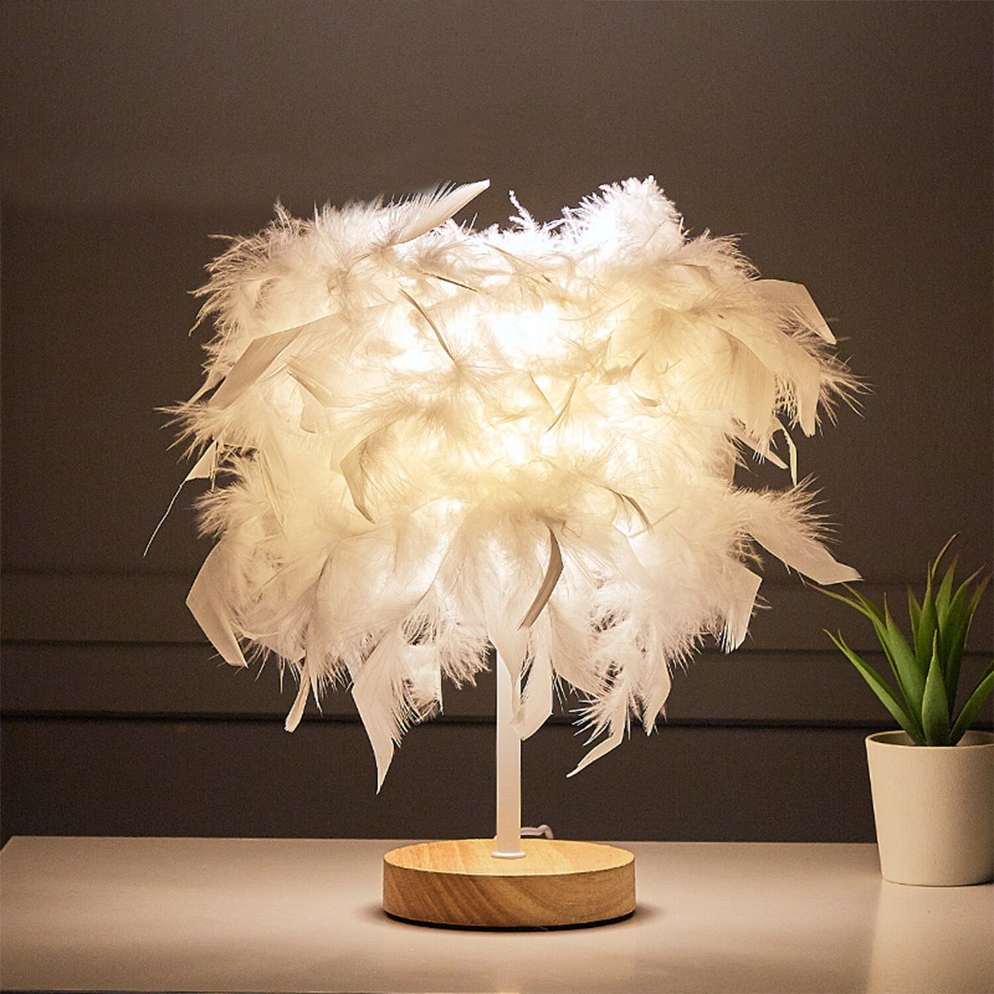 Elegant Feather lamp